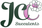 JCC-SUCCULENTS PTY LTD